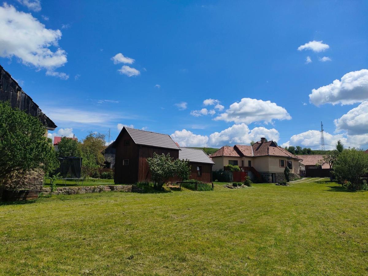 Organicle Lodge Sincraieni Екстериор снимка