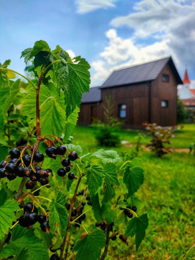 Organicle Lodge Sincraieni Екстериор снимка