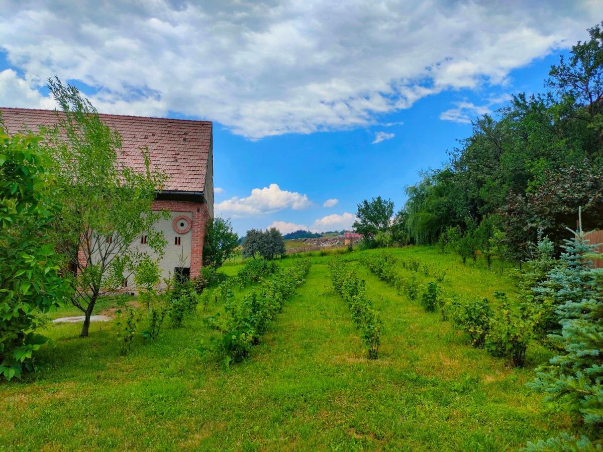 Organicle Lodge Sincraieni Екстериор снимка