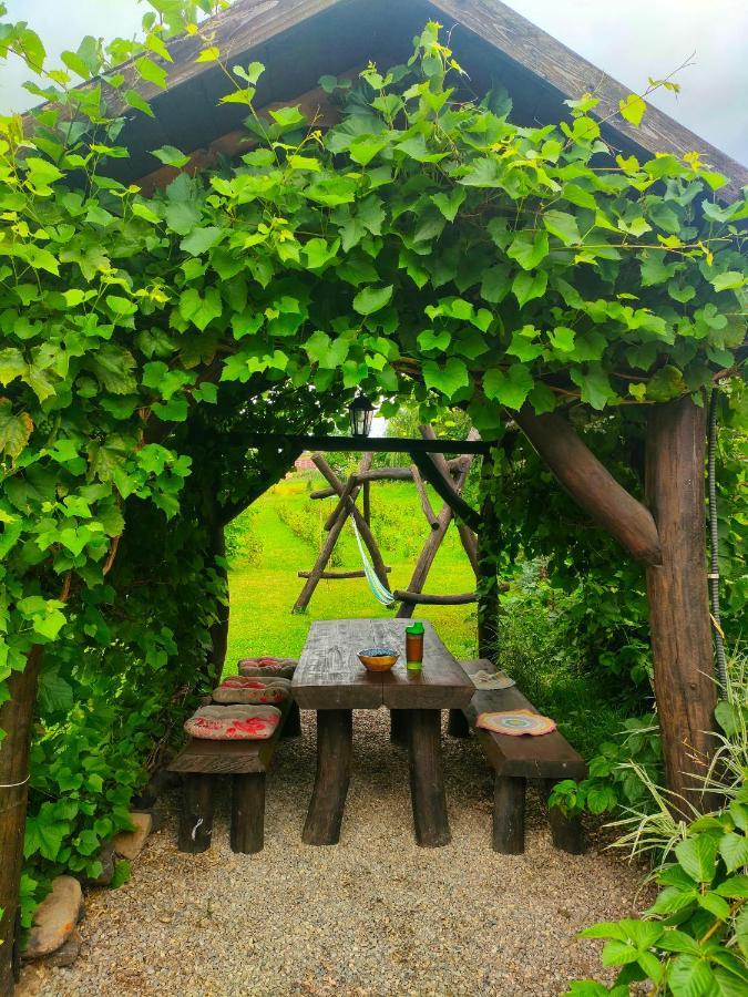 Organicle Lodge Sincraieni Екстериор снимка